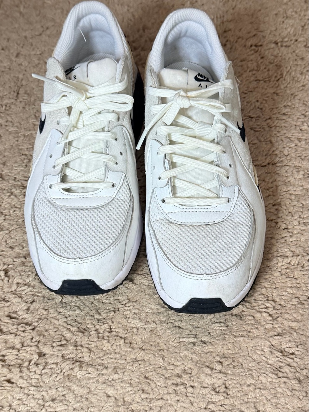 Nike Air Max Leather Sneakers with Cheetah print